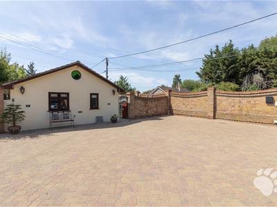 Picture 24